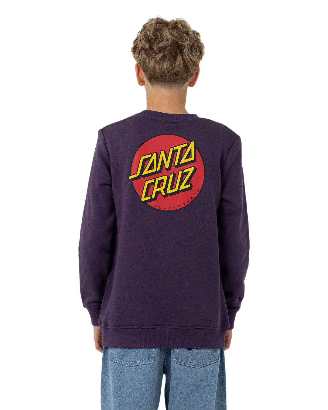 Santa Cruz Classic Dot Chest Sweater Purple