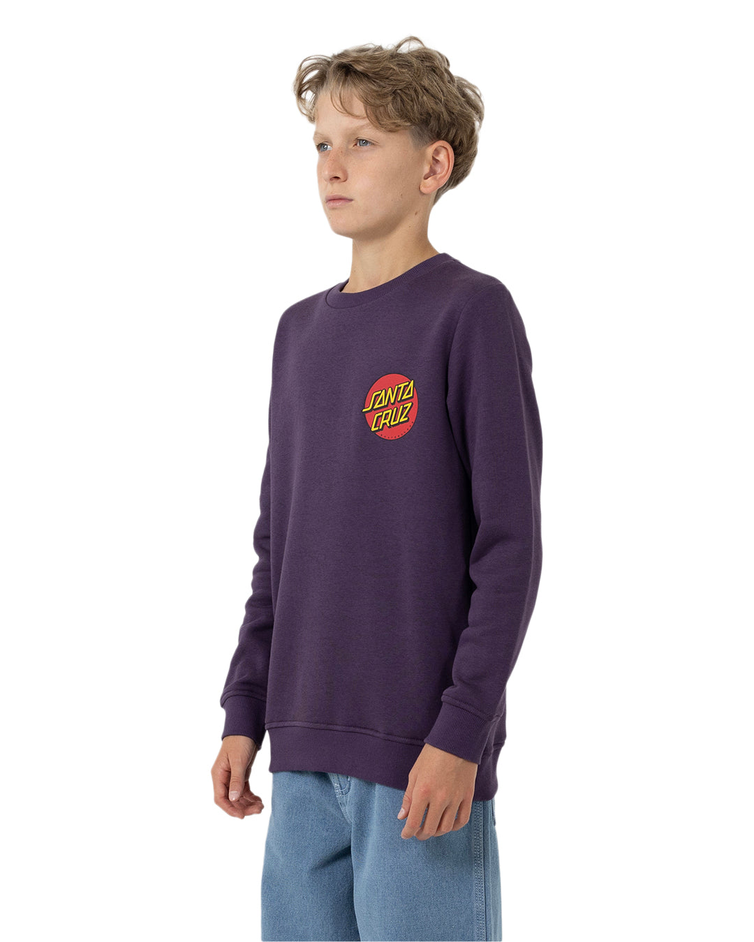 Santa Cruz Classic Dot Chest Sweater Purple