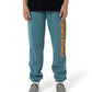 Santa Cruz Classic Strip Track Pant Ocean