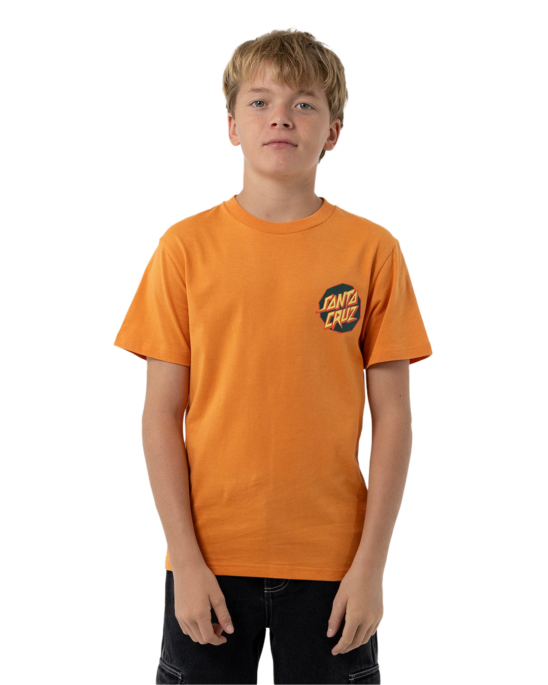 Santa Cruz Meek Scratched Slasher Tee Ginger