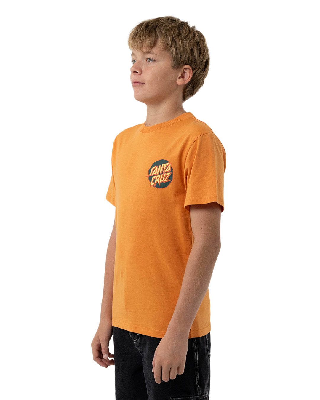 Santa Cruz Meek Scratched Slasher Tee Ginger
