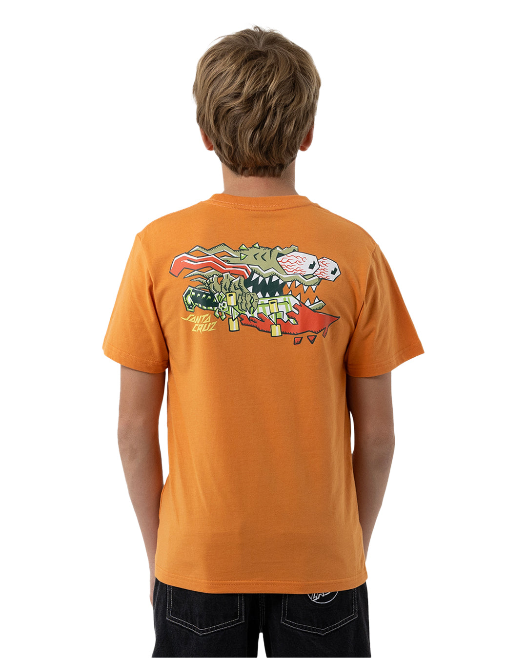 Santa Cruz Meek Scratched Slasher Tee Ginger