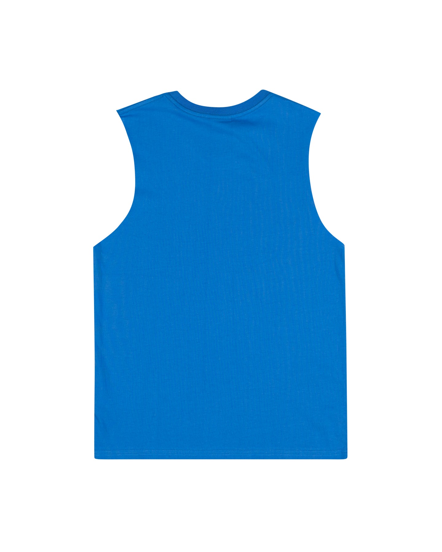 Santa Cruz Flame Ringed Dot Front Muscle Tee Blue
