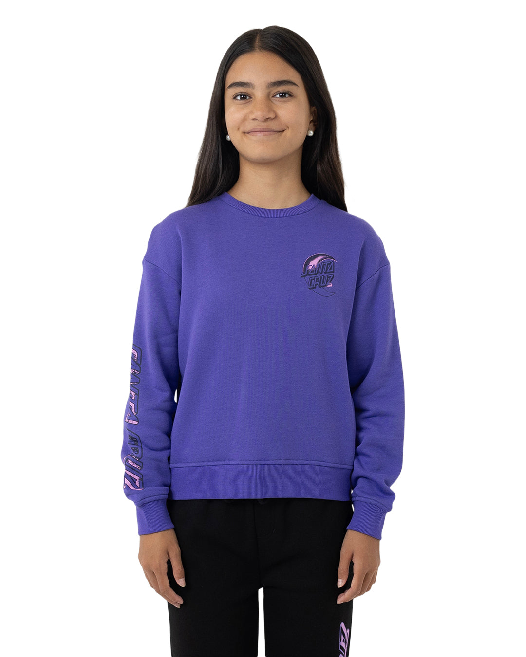 Santa Cruz Seeing Moon Dot Chest Sweater Iris