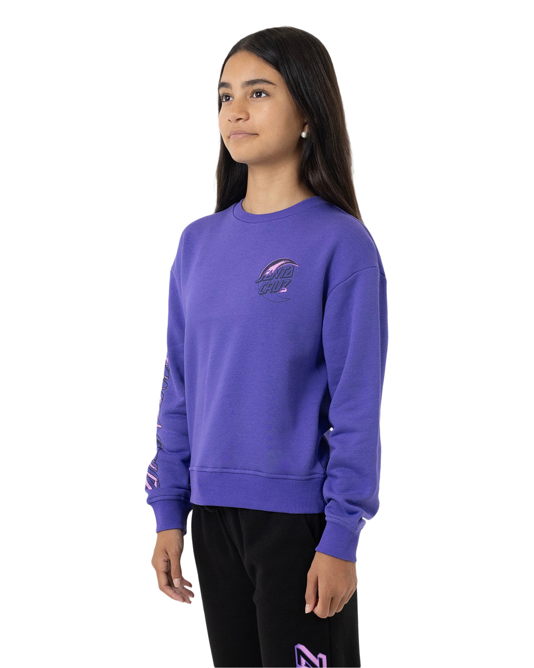 Santa Cruz Seeing Moon Dot Chest Sweater Iris
