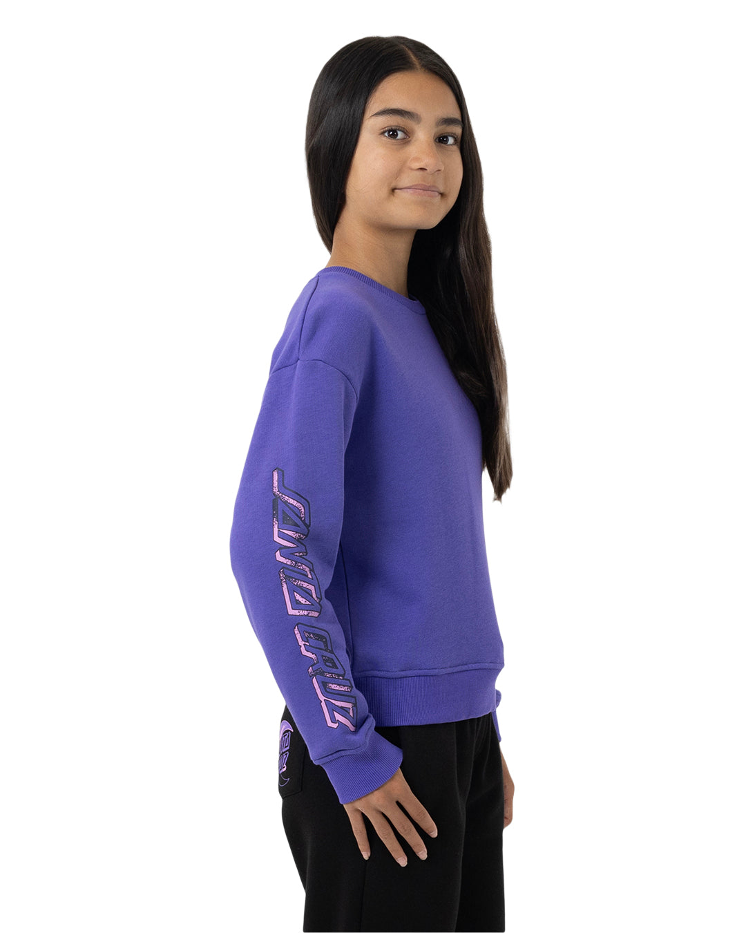 Santa Cruz Seeing Moon Dot Chest Sweater Iris