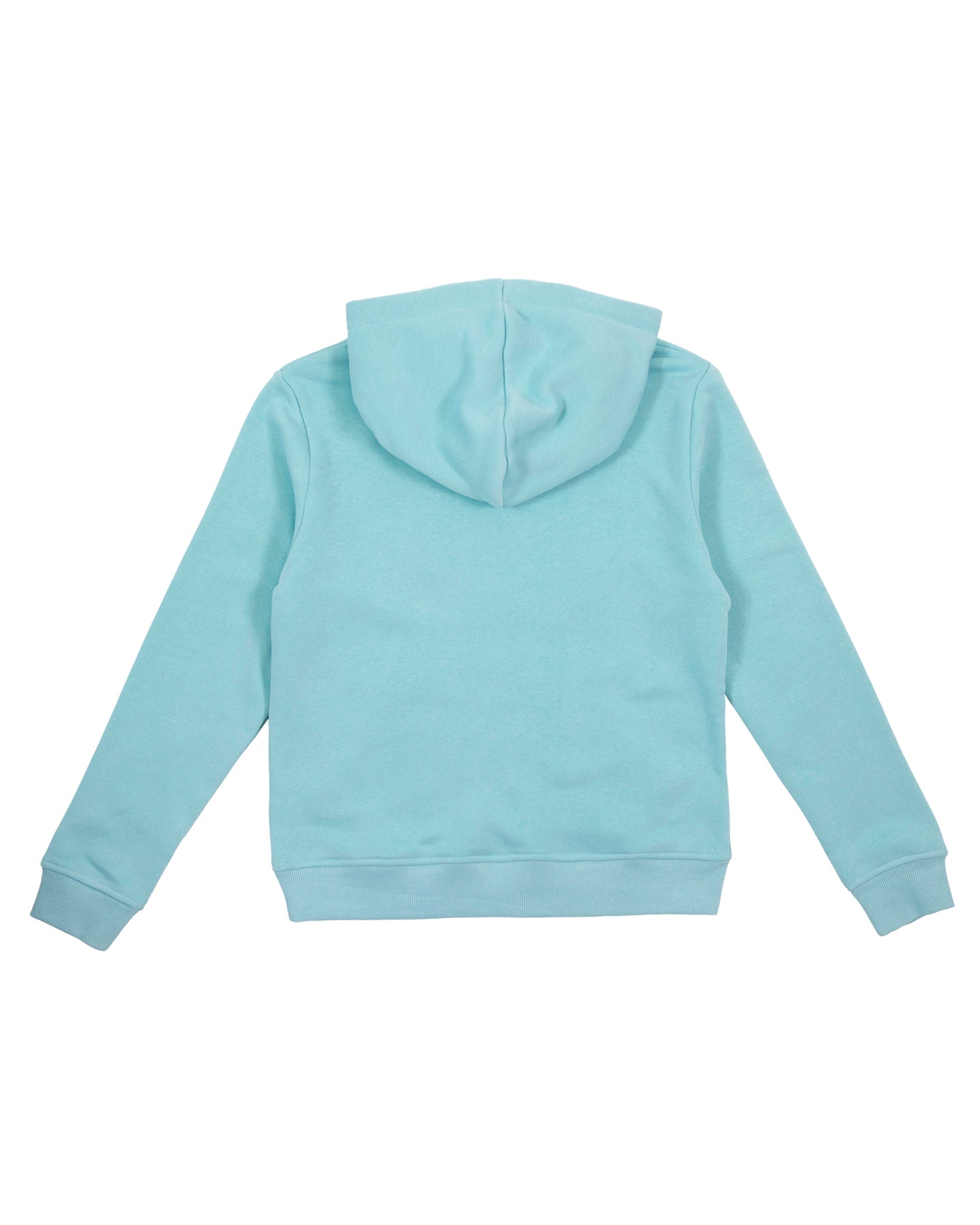 Santa Cruz Spirit Stack Strip Front Hoodie Turquoise