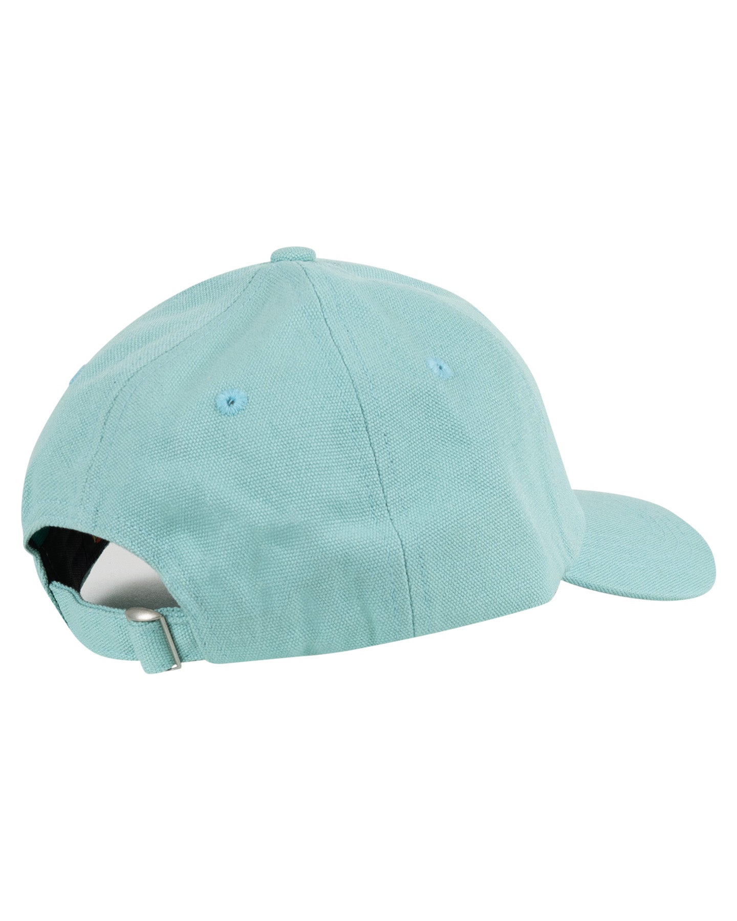 Santa Cruz Tropic Cap Light Green