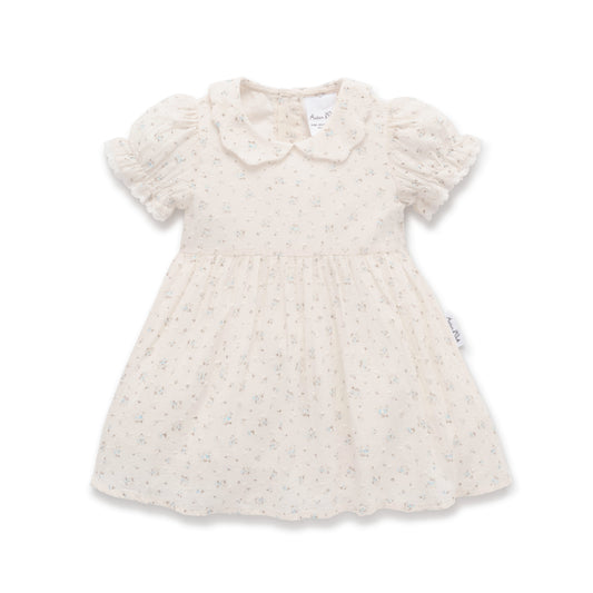 Aster & Oak Sofia Floral Dress Ivory
