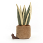 Jellycat Amuseables Snake Plant