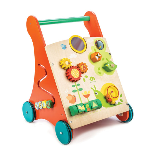 Tender Leaf Baby Activity Walker