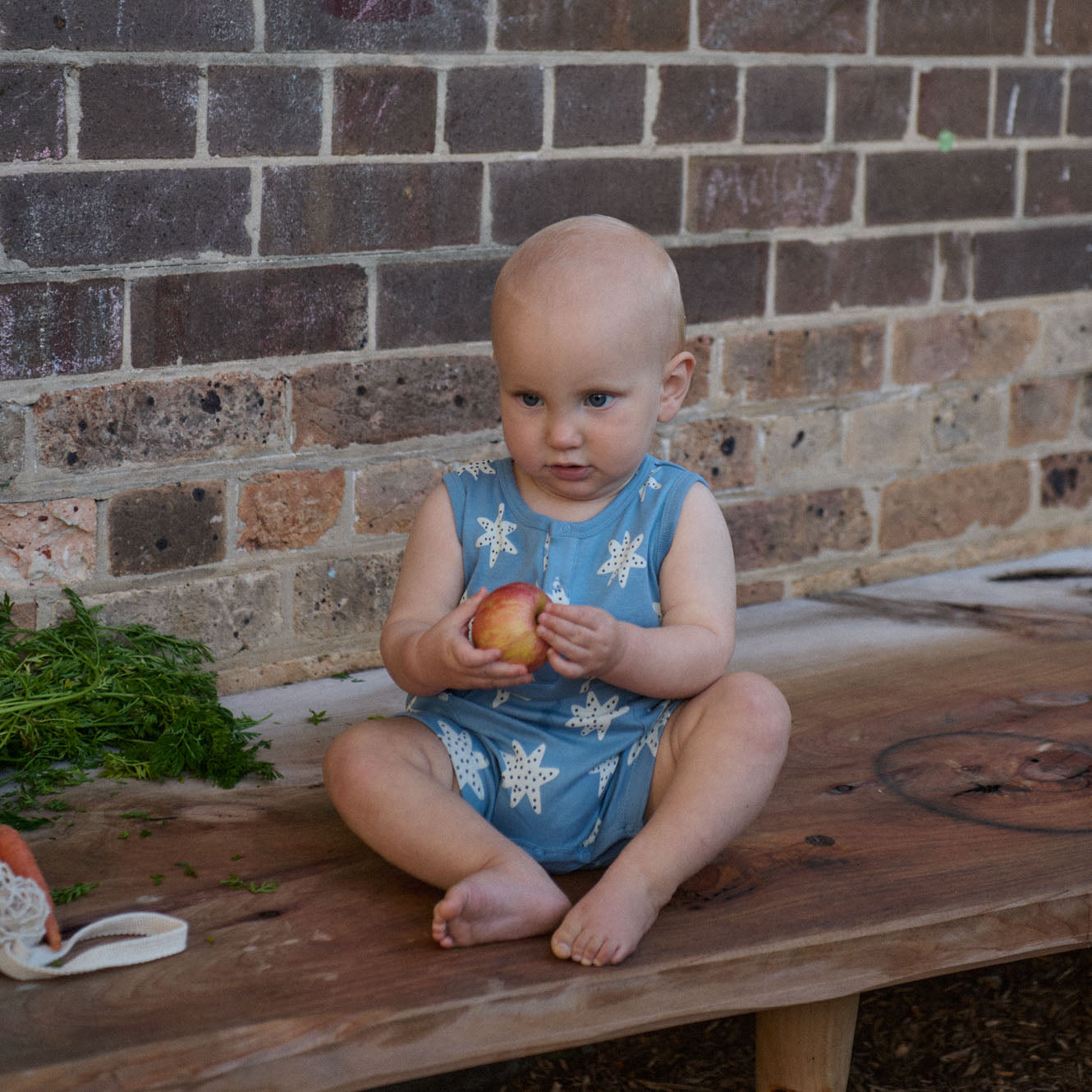 Nature Baby Camper Suit Sea Stars Print
