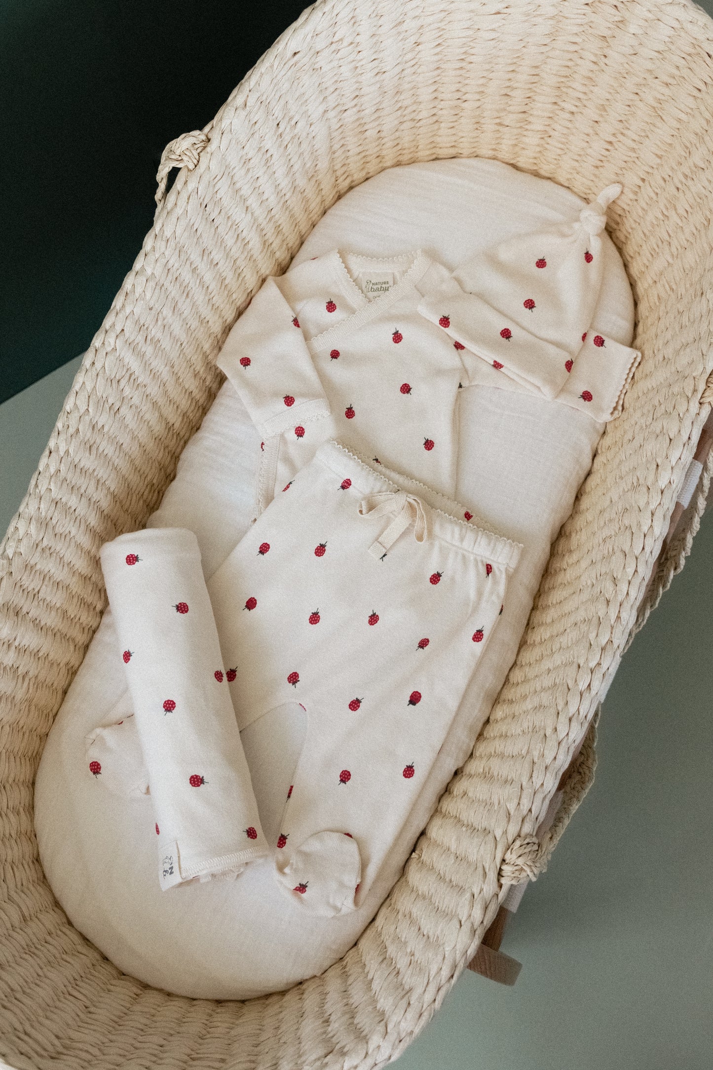 Nature Baby Welcome Home Bundle Raspberry Print