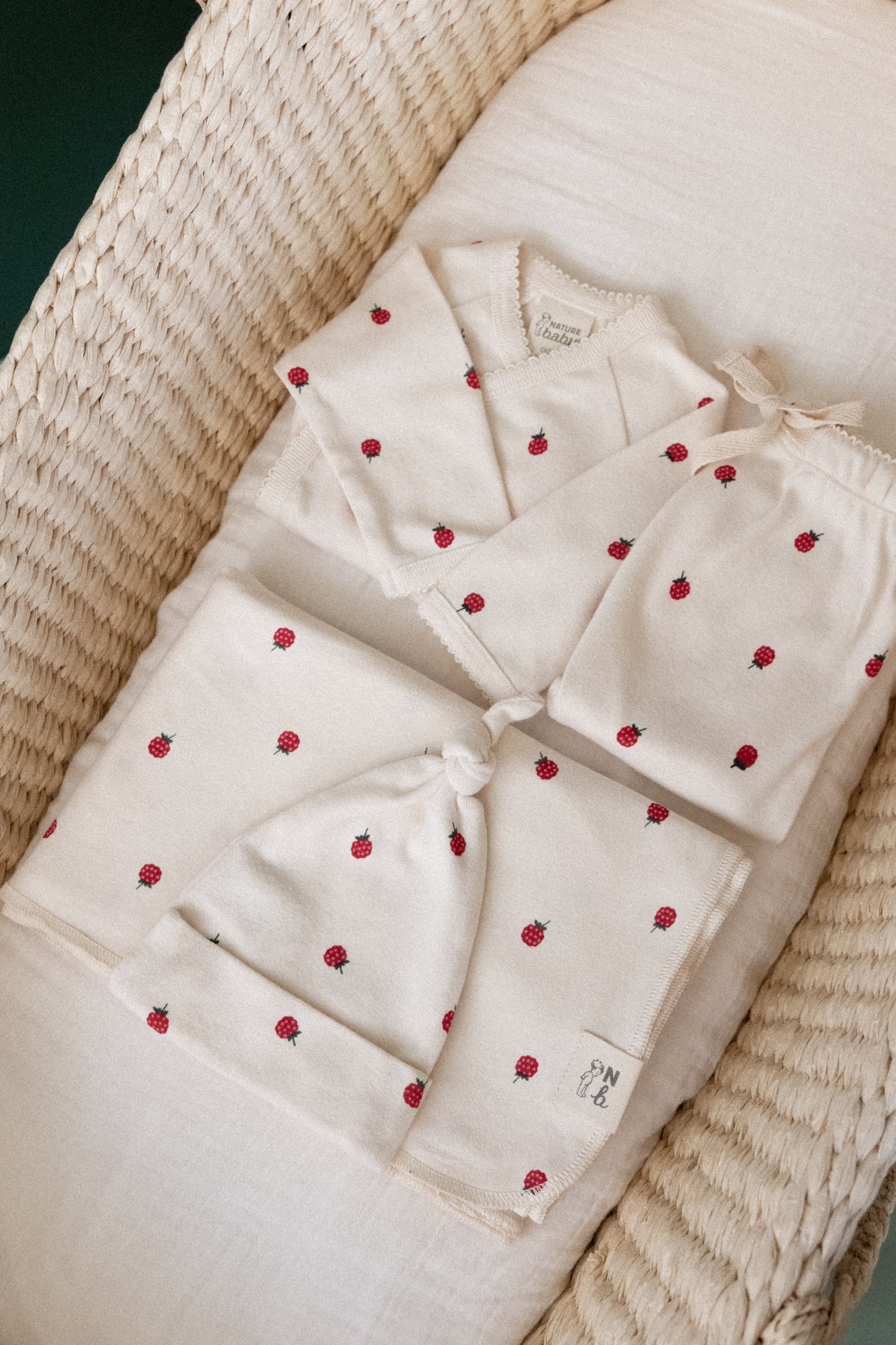 Nature Baby Welcome Home Bundle Raspberry Print
