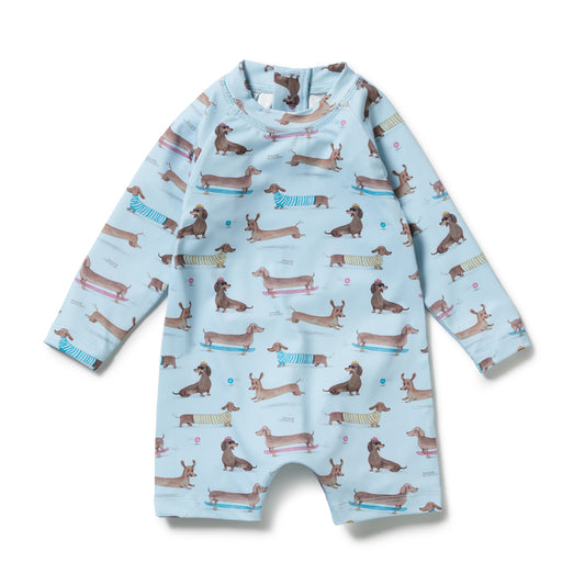 Wilson & Frenchy One Piece Boyleg Swimsuit Dashing