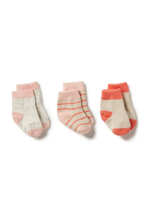 Wilson & Frenchy 3 Pack Baby Socks Silver Peony, Oatmeal, Coral