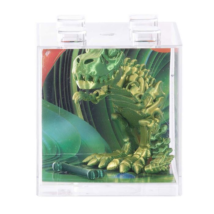 Discovery Zone 3D Sensory T-Rex