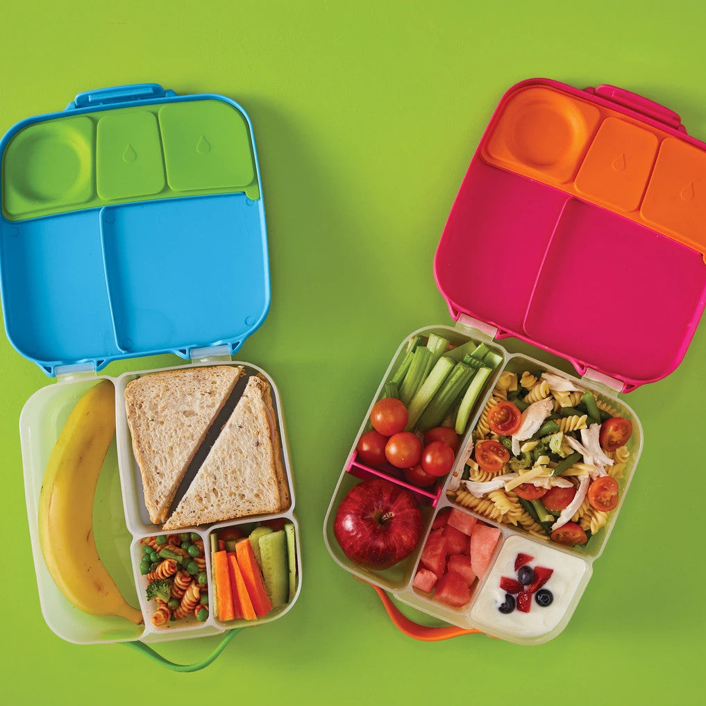 B. Box Lunchbox Ocean Breeze