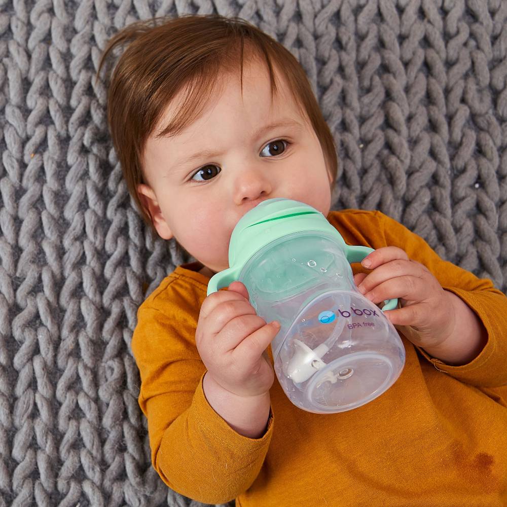 B. Box Sippy Cup V2 Pistachio