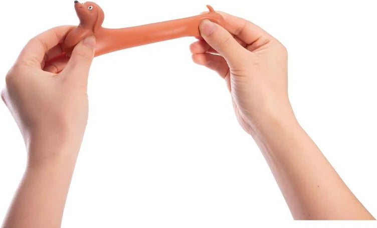 Discovey Zone Mini Stretchy Sausage Dog