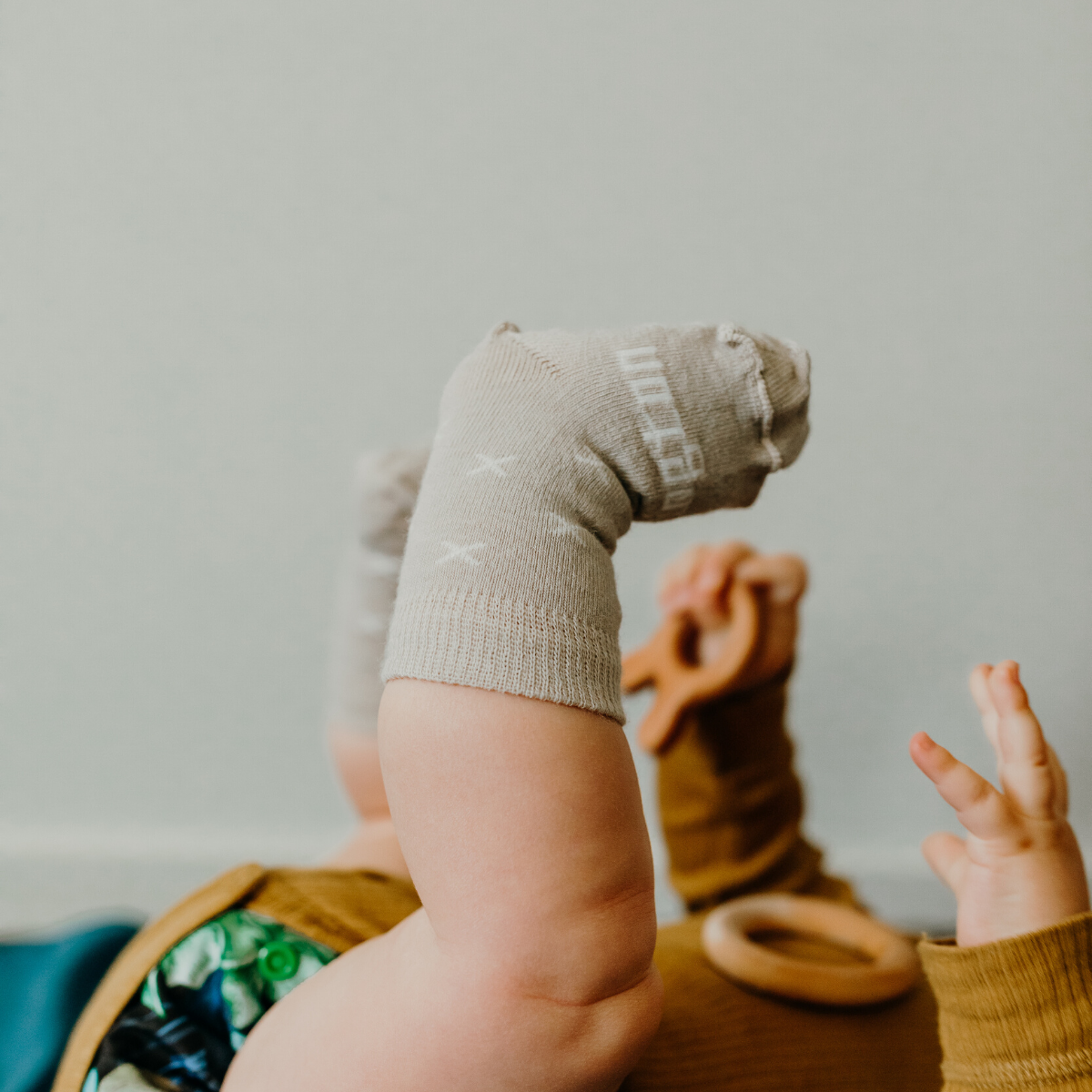 Lamington Baby Merino Crew Socks Ted