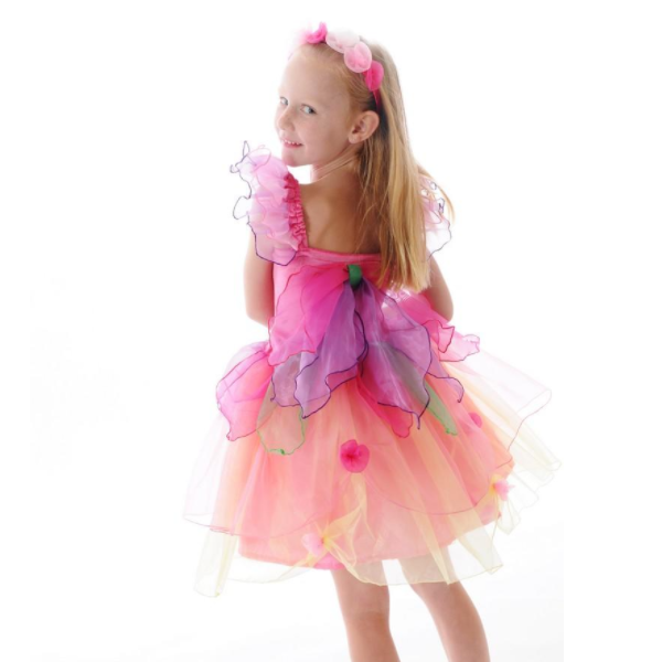 Paris Daisy Fairy Dress Pink