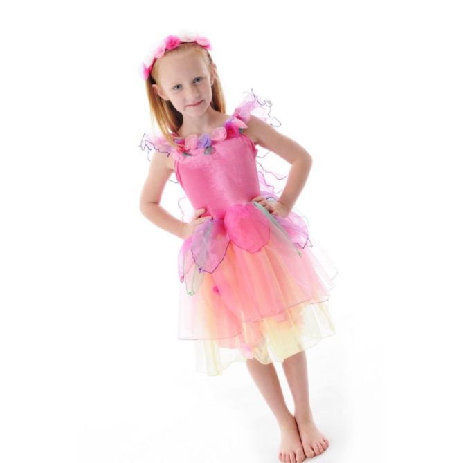 Paris Daisy Fairy Dress Pink