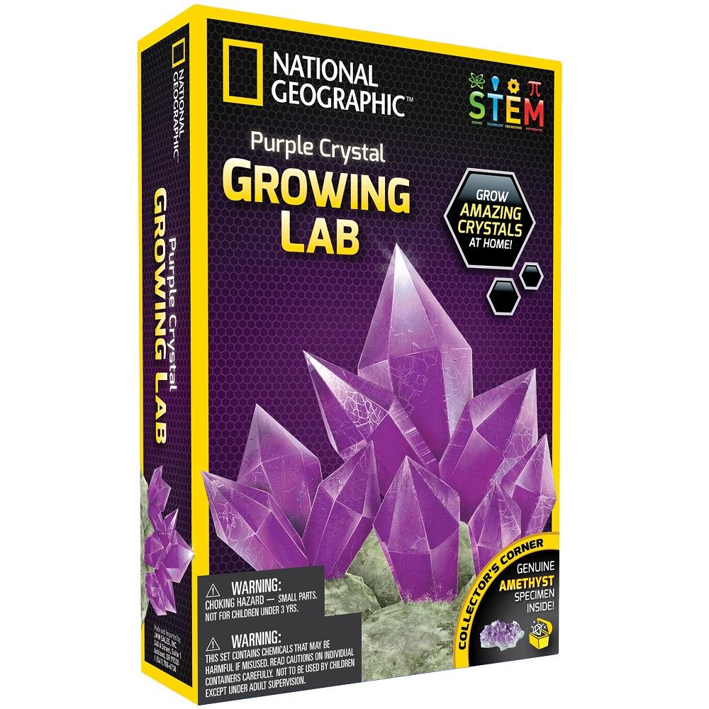 National Geographic Purple Crystal Growing Lab