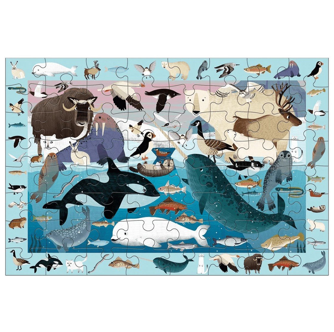 Search and Find Arctic Life Puzzle