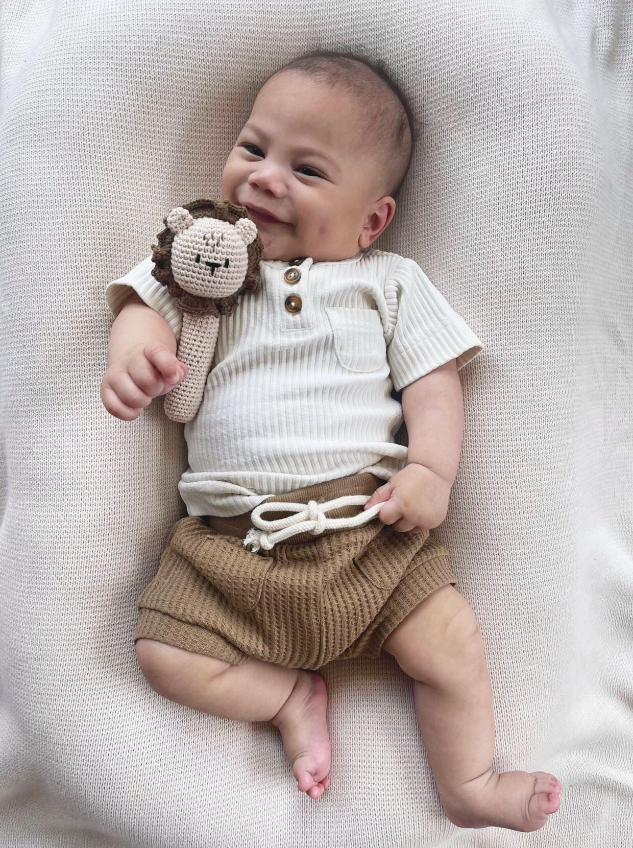 Over the Dandelions Crochet Lion Rattle